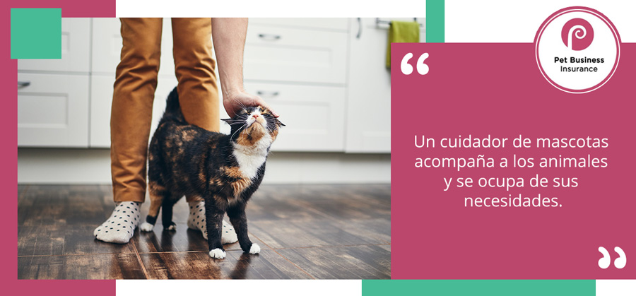 cuidador de mascotas acaricia a un gato en la cocina de su casa